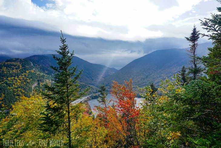 2 Of The Best Dog Friendly Fall Hikes In The White Mountains