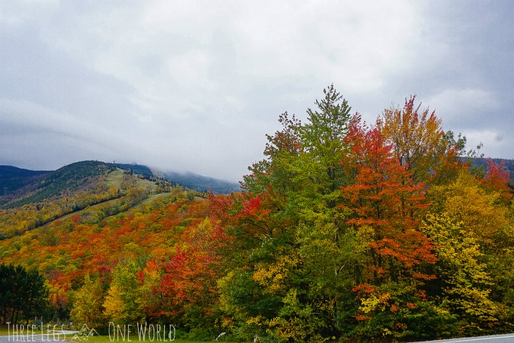 2 Of The Best Dog Friendly Fall Hikes In The White Mountains