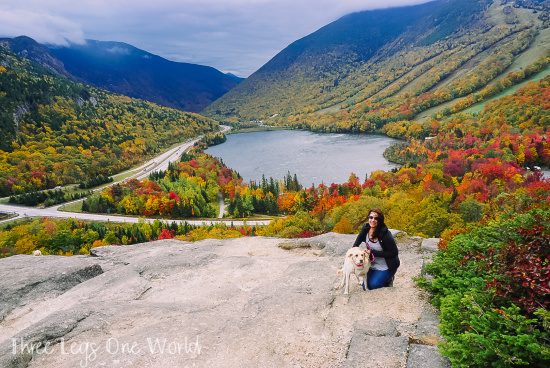 2 of The Best Dog Friendly Fall Hikes in the White Mountains